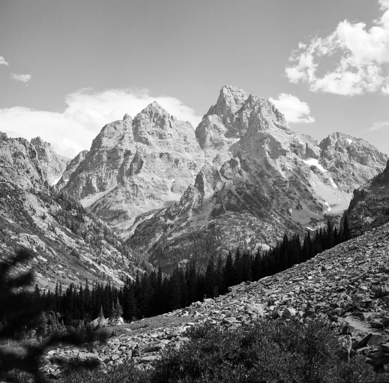 Teton shot on Fujifilm Neopan Acros 100 II with a Minolta Autocord, by Jared Friedman