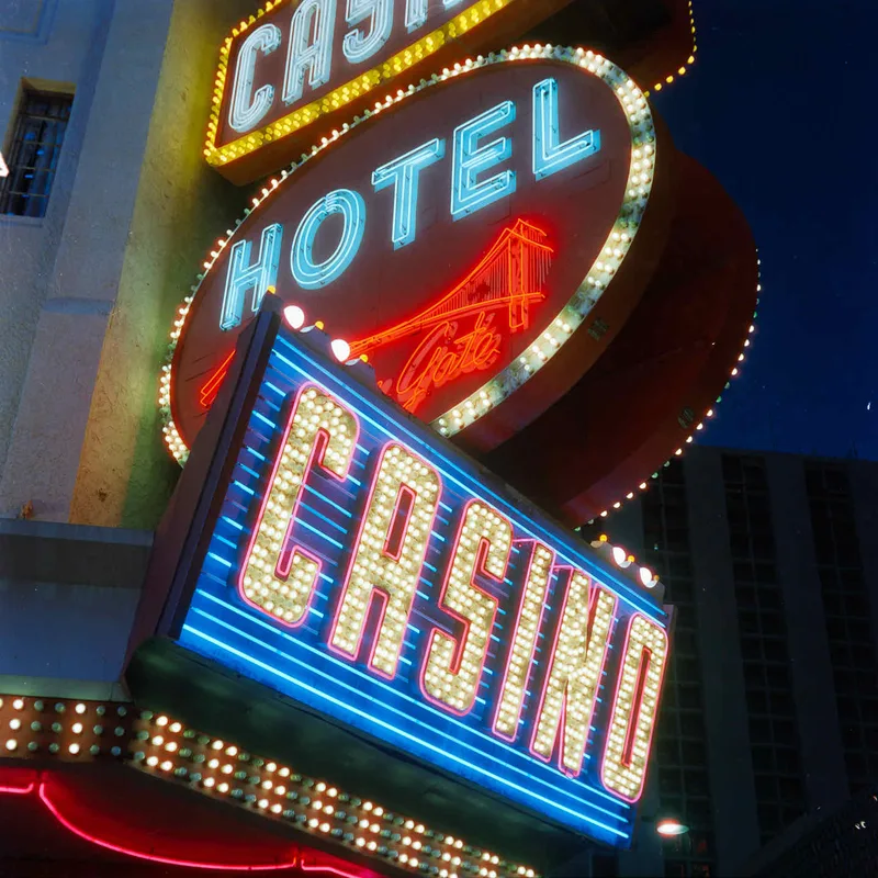 Film photo shot on Cinestill 800T with a Mamiya C330 Professional, by Cam Cavagnaro