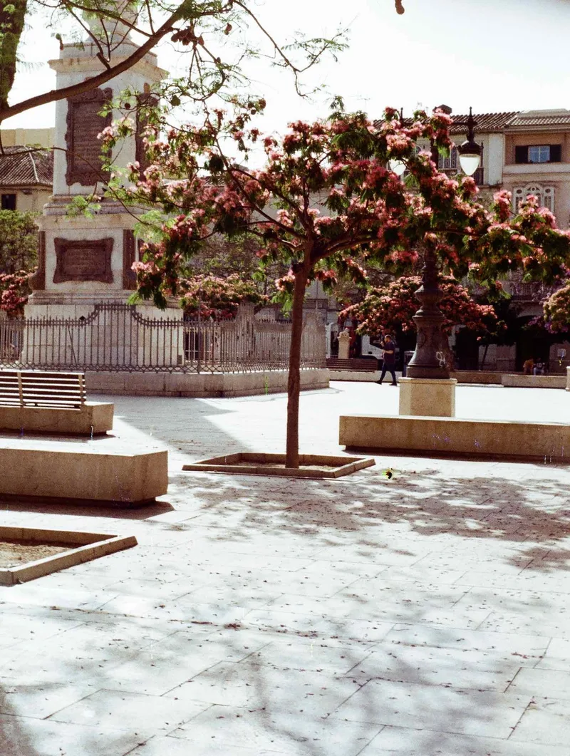 Standing alone shot on Kodak Gold 200 with a Beirette VSN, by Gab