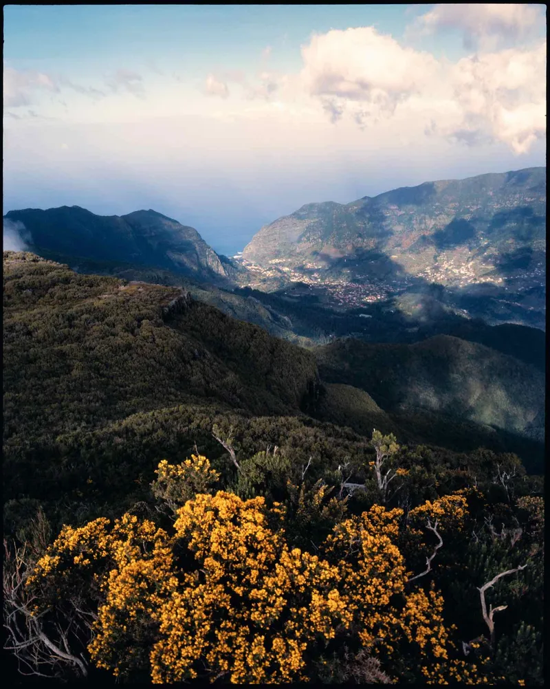 Madeira views shot on Kodak Ektachrome E100 with a Pentax 6x7 MLU, developed at Oslo Foto, by Daniel Korslund