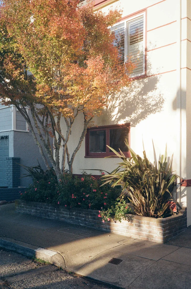 Film photo shot on Kodak Gold 200 with a Nikon L35AF 3, developed at Indie Film Lab, by kamera kerry