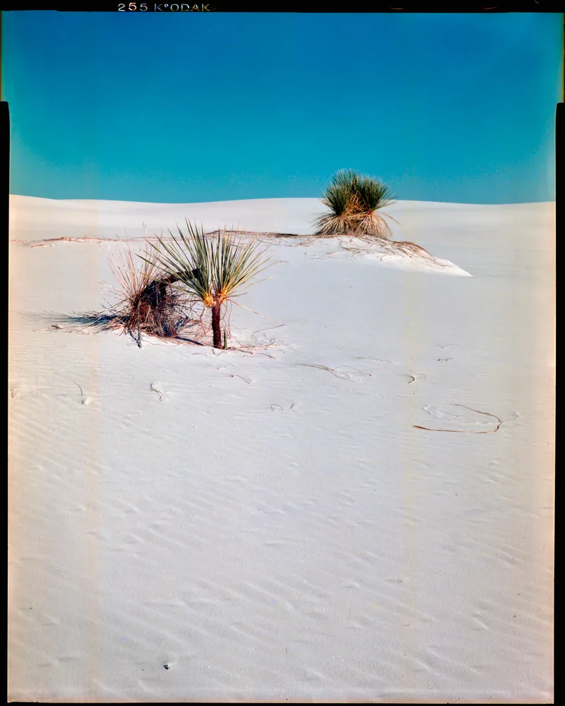 White Sands shot on Kodak Vericolor III with a Intrepid 4x5, developed at Home / Self-Developed, by Nicholas Smith