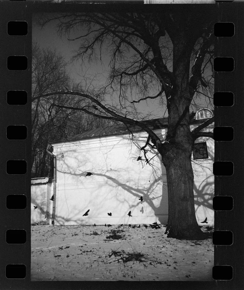 Film photo shot on Lucky SHD 400 with a Lomo LC-A, by Mike