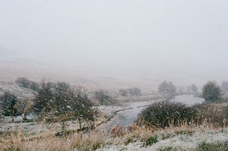 In the snow shot on Kodak Portra 400 with a Canon EOS 500, developed at FilmDev, by Rich