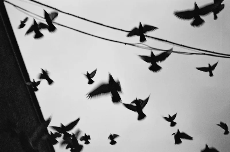 Film photo shot on Ilford XP2 Super 400 with a Leica M2, developed at Conns Camera, by Nathan_Kelly