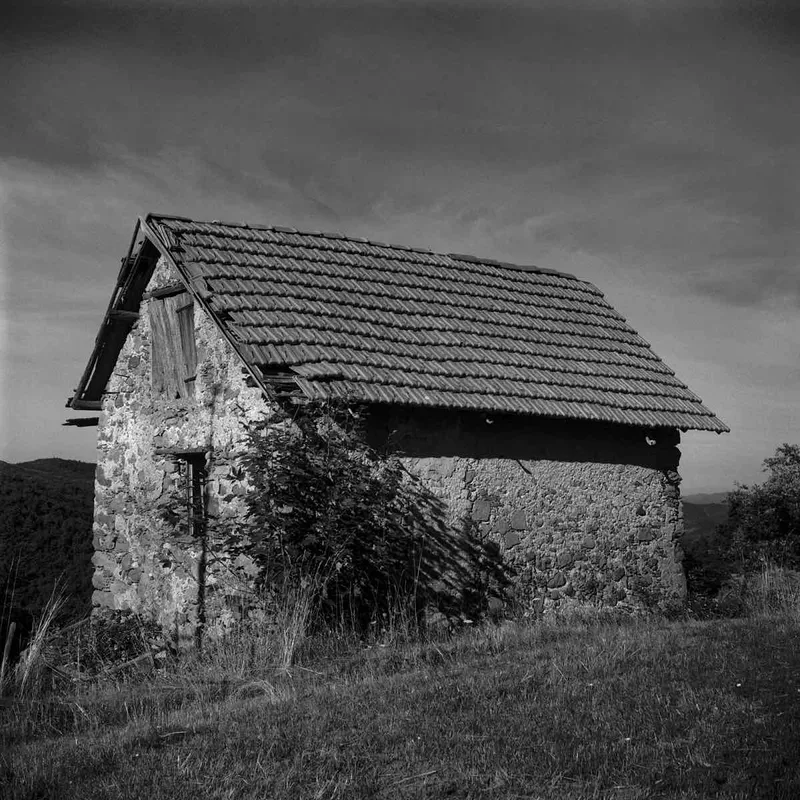 Film photo shot on Kodak Tri-X 320 with a Yashica Mat 120G, developed at Home / Self-Developed, by Francesco Mocellin