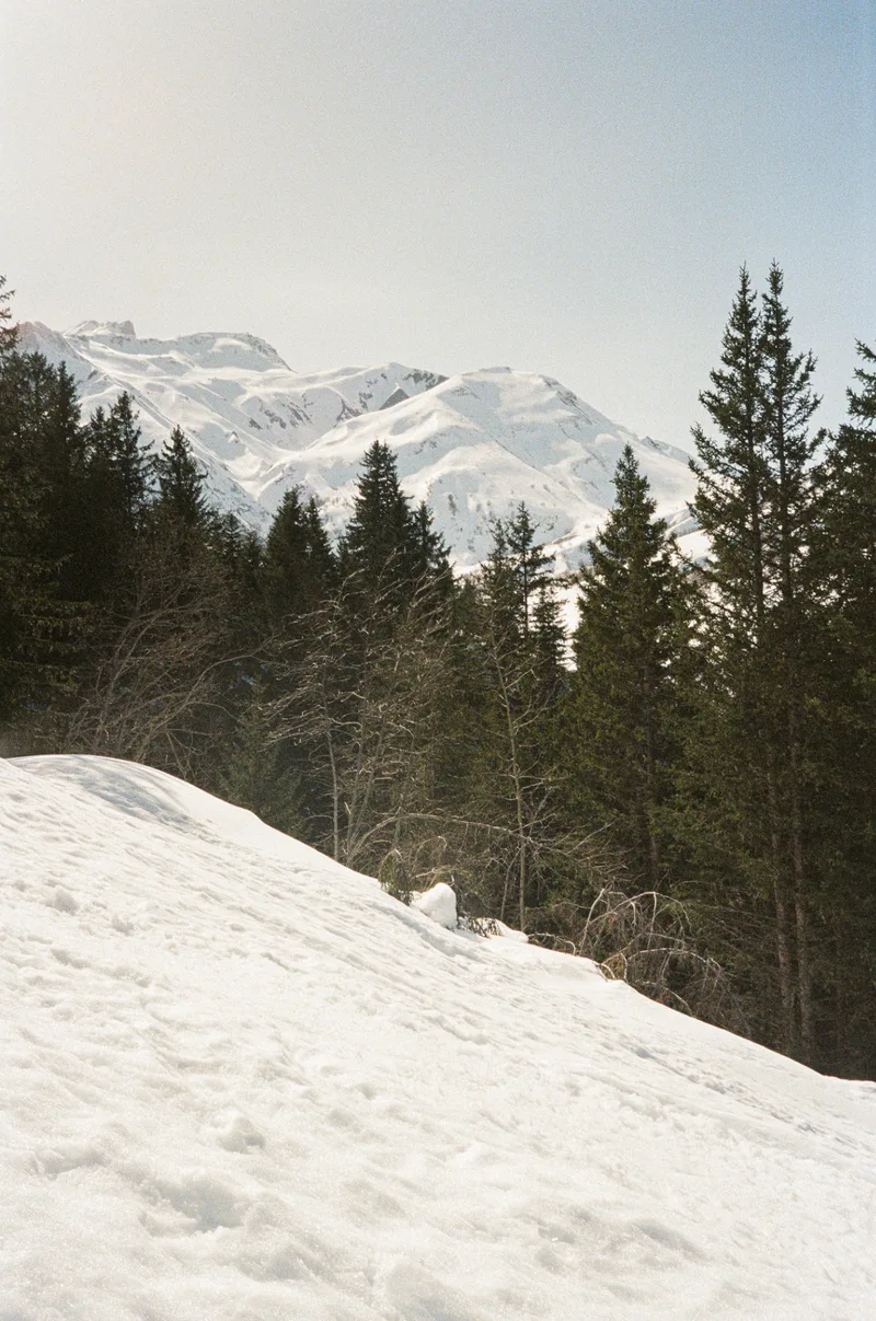 French Alps shot on Kodak Gold 200 with a Olympus AF-1, developed at Fox Film Lab, by Adrian