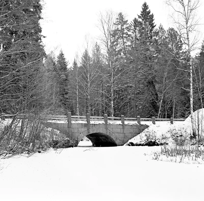Winter Silence on Stone shot on Ilford HP5 Plus 400 with a Ricoh Diacord TLR, developed at Home / Self-Developed, by lillepv
