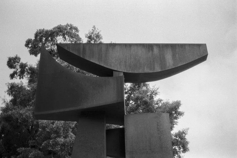 Film photo shot on Reflx Lab Double X with a Olympus OM-1, developed at Home / Self-Developed, by Taylor