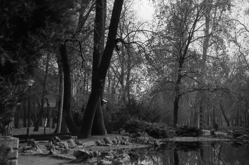 Film photo shot on Kentmere Pan 400 with a Minolta Riva Zoom 140ex, developed at Home / Self-Developed, by pavle
