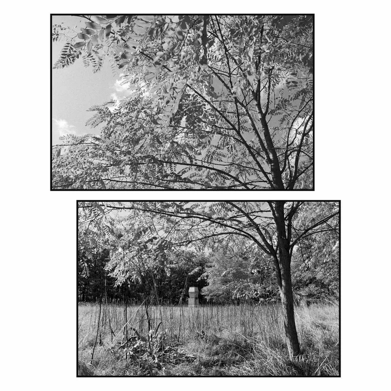 Film photo shot on Ilford HP5 Plus 400 with a Nikon F90, developed at Home / Self-Developed, by Petr Lindner