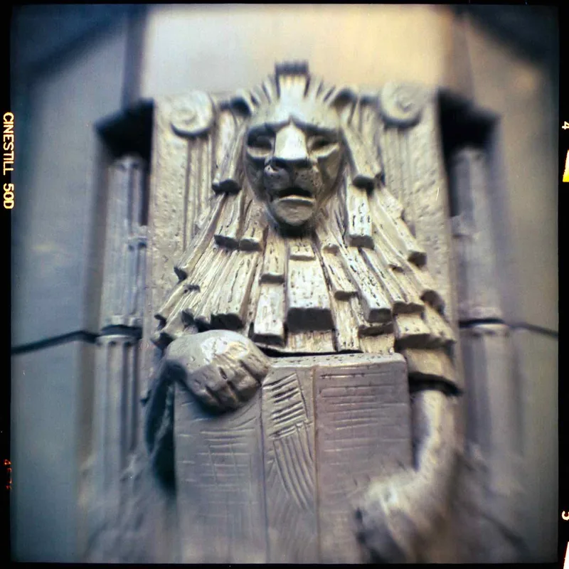 the lion shot on Cinestill 50D with a Kodak Brownie Hawkeye Flash, developed at Home / Self-Developed, by PB