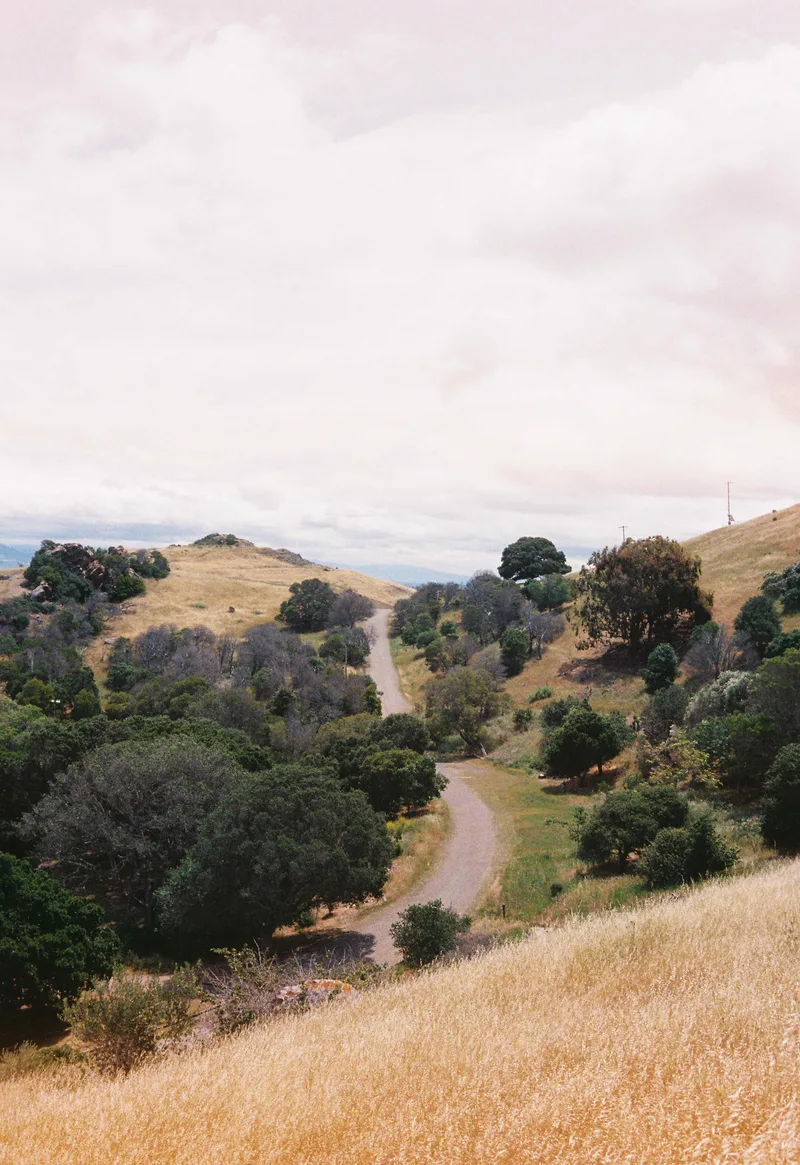 Film photo shot on Kodak UltraMax 400 with a Yashica Electro35GL, developed at Boutique Film Lab, by Gaby Salinas