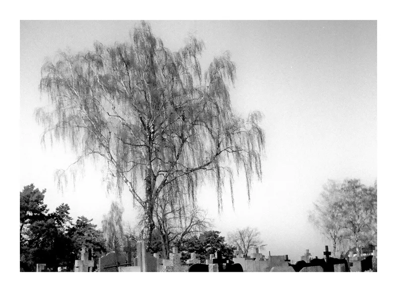 Film photo shot on Foma Fomapan 200 Creative with a Belomo Agat 18k, developed at Relax Foto, by bkk