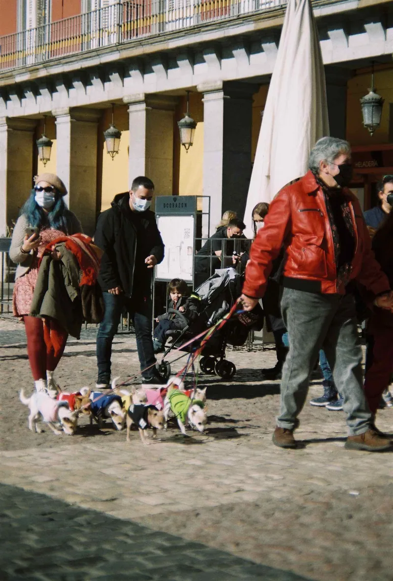 Paw patrol shot on Fujifilm FujiColor C200 with a Fuji DL-200, developed at Cyberlab, by Leonardo Chamizo