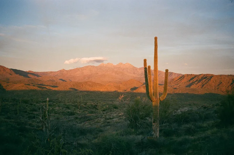 Four Peaks shot on Fujifilm FujiColor C200 with a Contax T3, developed at Graination, by thishumanlife
