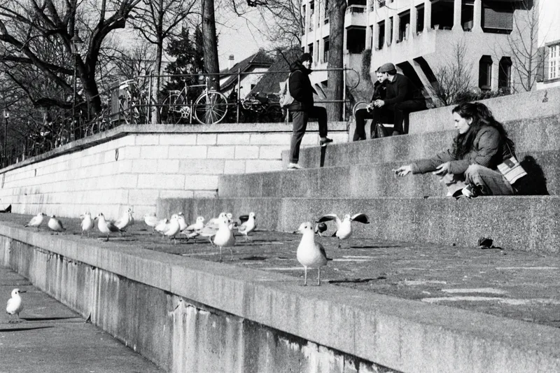 Feeding my filmroll shot on Ilford HP5 Plus 400 with a Olympus Mju Zoom 140, developed at DM Fotoparadies, by PhotosByTim