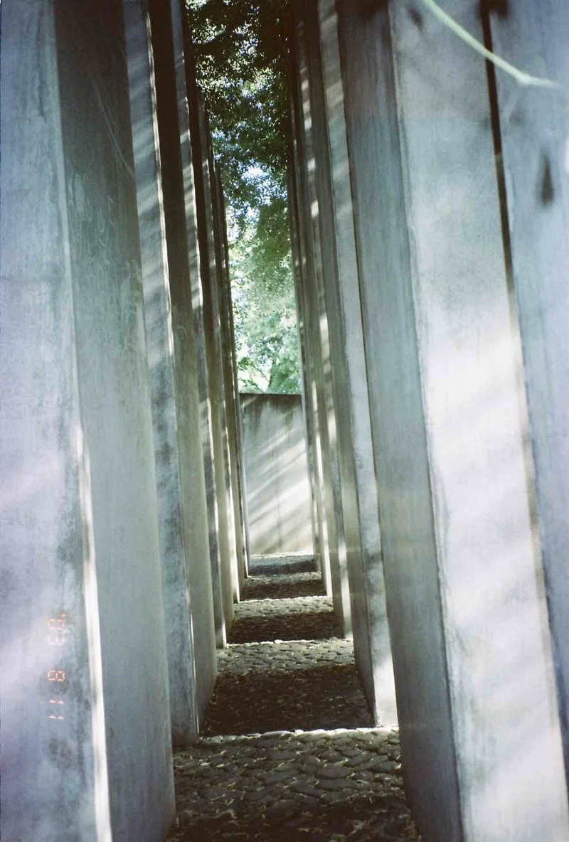 The garden of exile shot on Kodak Vision3 50D with a Fuji ZoomCardiaMulti2000OP, by Zane