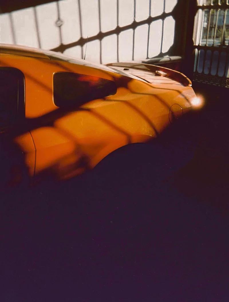 Wild horse shot on Cinestill 50D with a Kodak Ektar H35, developed at Dichroic Lab, by Carlos White
