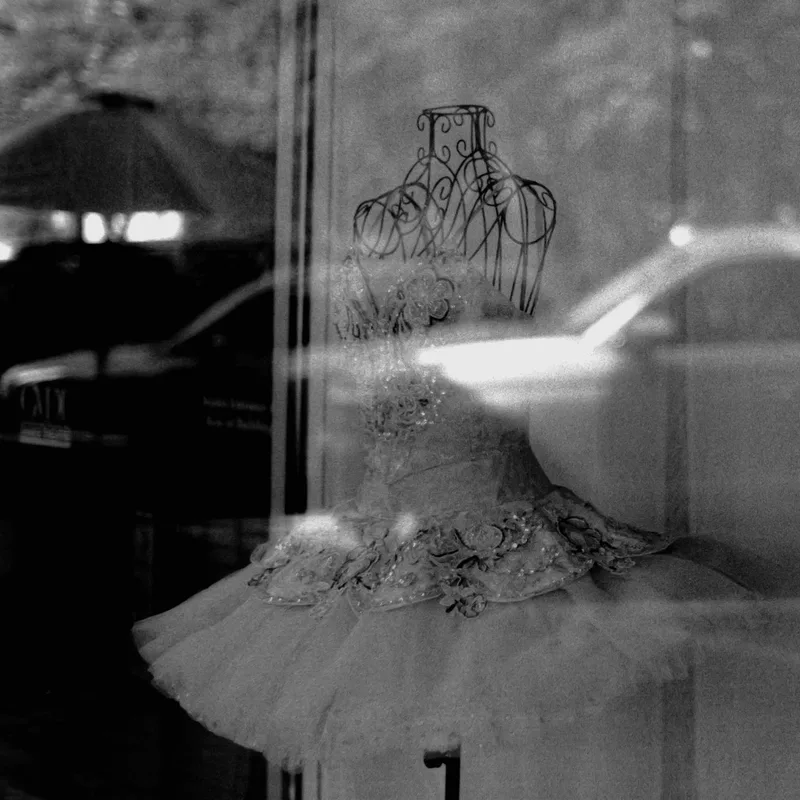 Reflected shot on Film Photography Project Dracula 64, developed at Home / Self-Developed, by Ryan Jensen