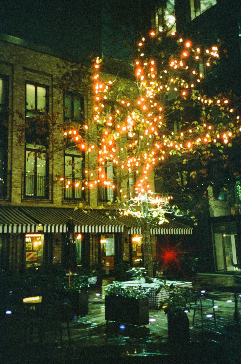 Film photo shot on Hundred Film 8Hundred with a Olympus AF-1 Super, developed at Stuart Cameras, by Steph