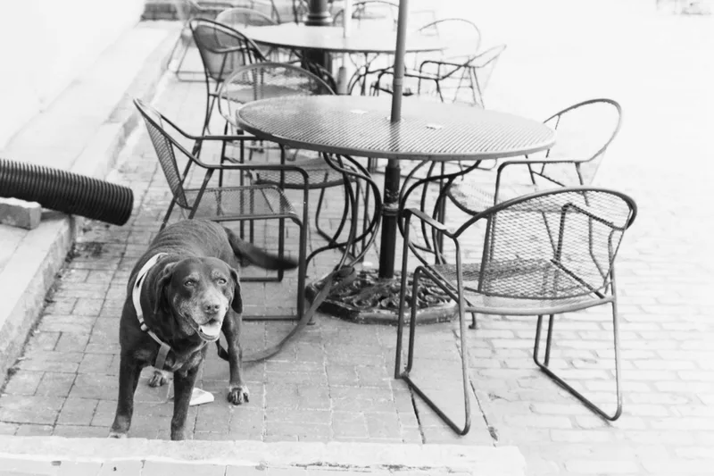 Table for One shot on Film Photography Project Dracula 64 with a Nikon FM, developed at Home / Self-Developed, by Ryan Jensen