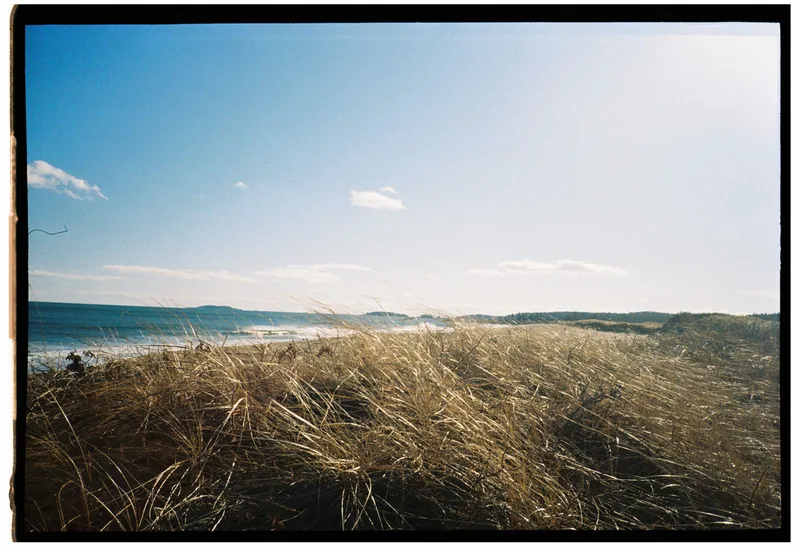 reid state beach, maine shot on Kodak Kodacolor 200 with a Kyocera TScope, developed at Northeast Photographic, by Eric Wefald - Huang