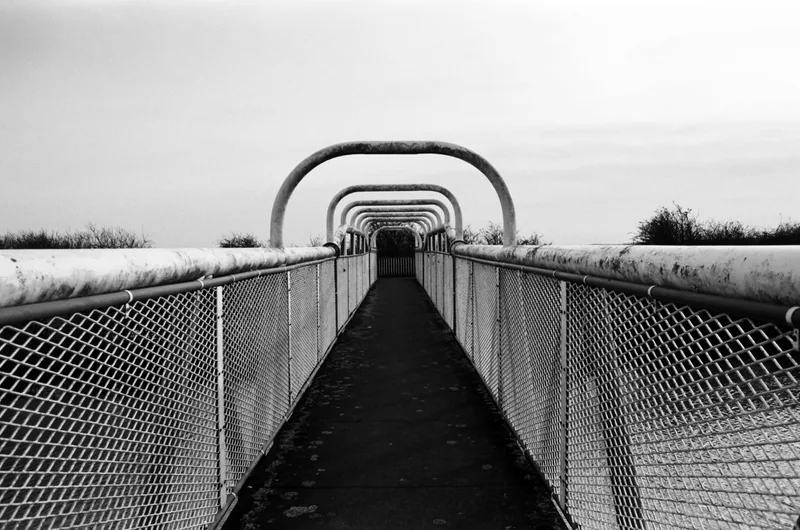 Bridge shot on Kodak T-Max 400 with a Miranda MS-3, developed at Not Quite North, by Meengamer