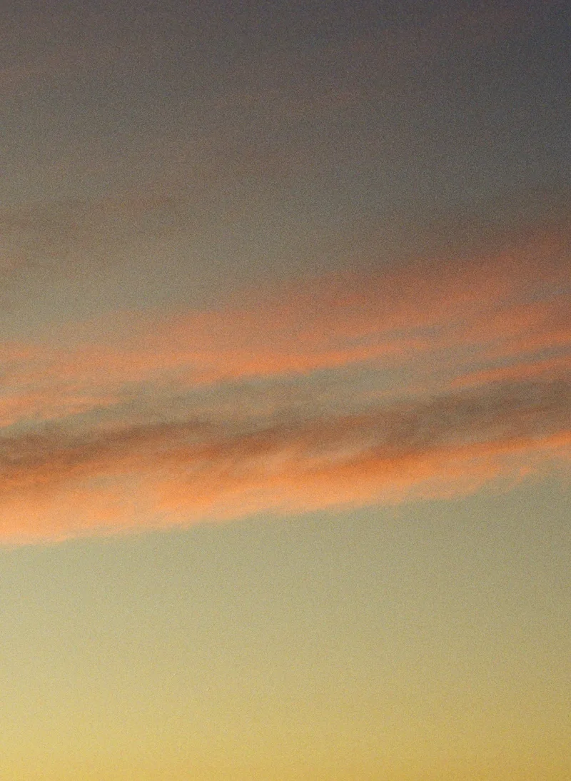 Film photo shot on Kodak Gold 200 with a Pentax Spotmatic II, developed at Irohas Photo, by journey with goran