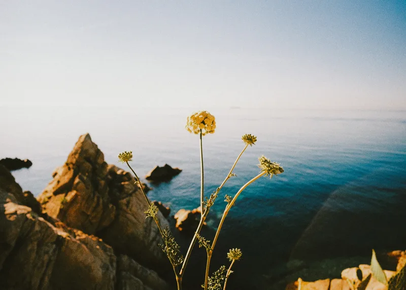 Film photo shot on Kodak ColorPlus 200 with a Leica M6, developed at Carmencita, by Jordi Sales