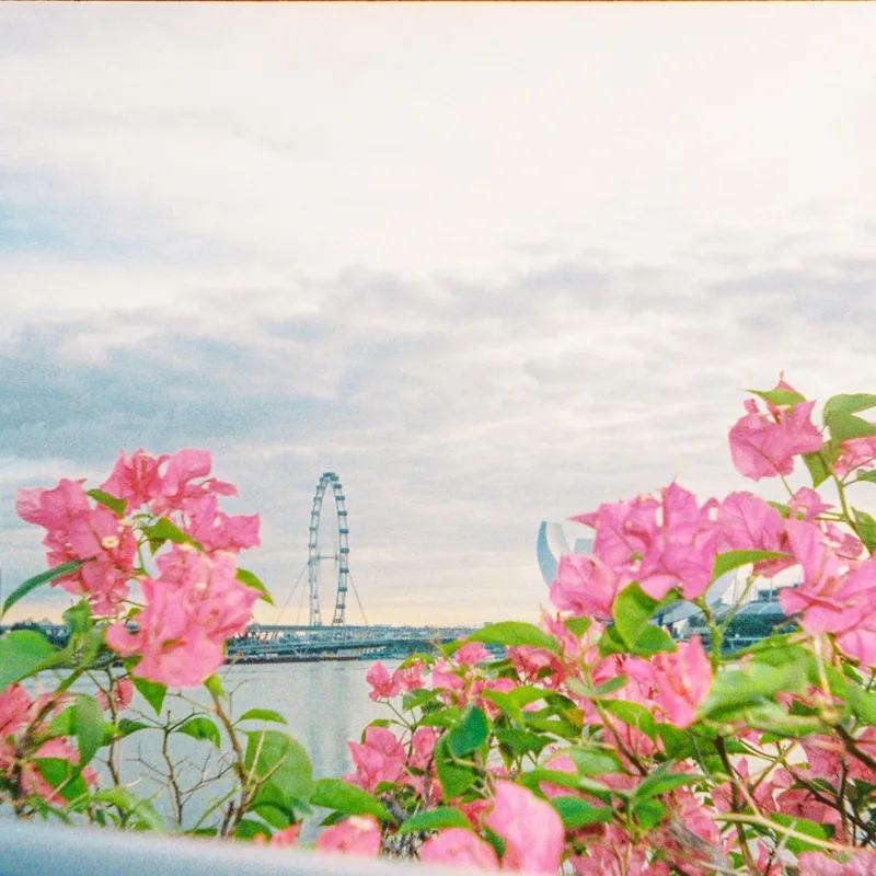Singapore City, December 2024 shot on Kodak Portra 800 with a KodakReto EktarH35N, developed at F8 Photo, by Rafael Gandionco