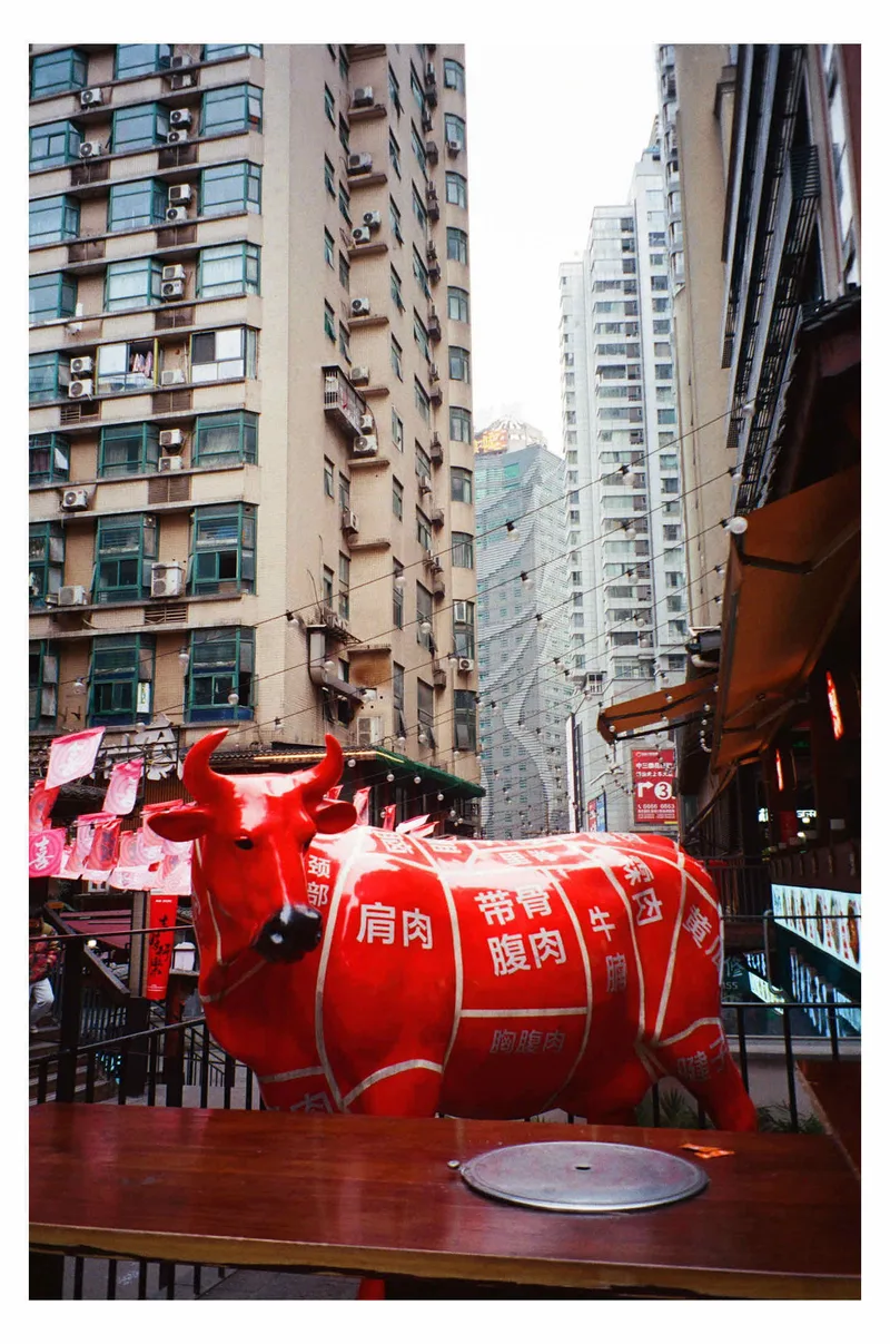 Red shot on Kodak UltraMax 400 with a Konica GenbaKantoku28WB, developed at Bobo Film Lab Chongqing, by BadMonkey