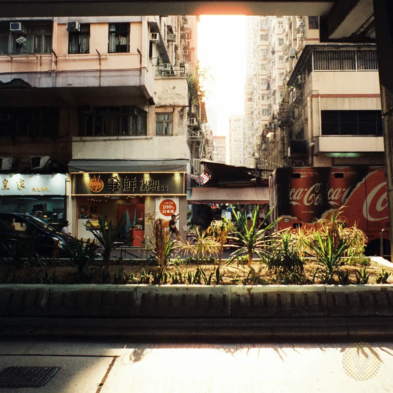In the Shadow shot on Cyberpunk 400D with a Minolta XD, developed at Garasi Analog, by Verlichtend