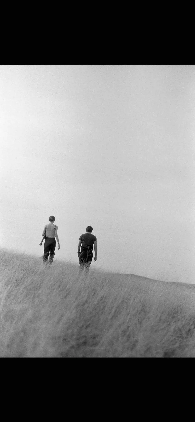 Film photo shot on Ilford Pan 400 with a Canon AE-1 Program, by Koosmar