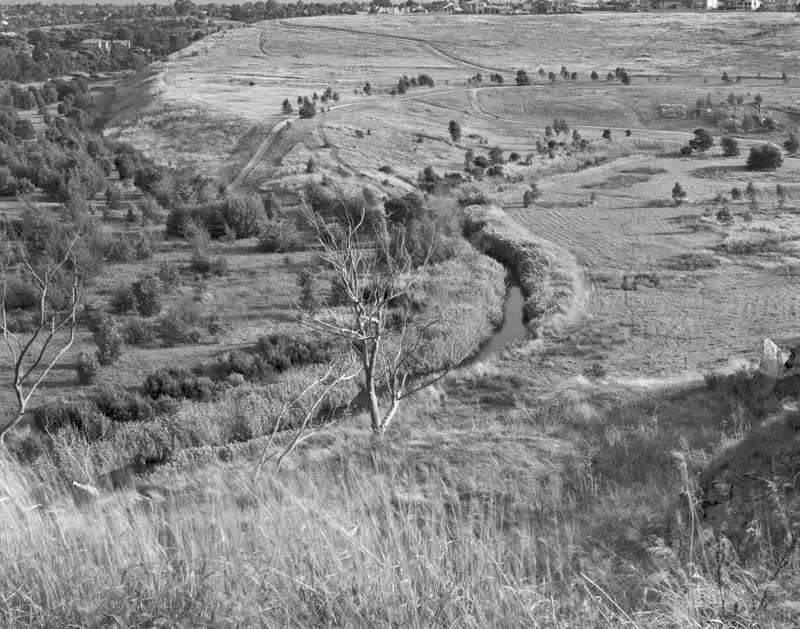 Maribrynong shot on Kodak T-Max 400 with a Cambo 4x5, developed at Home / Self-Developed, by Stuart