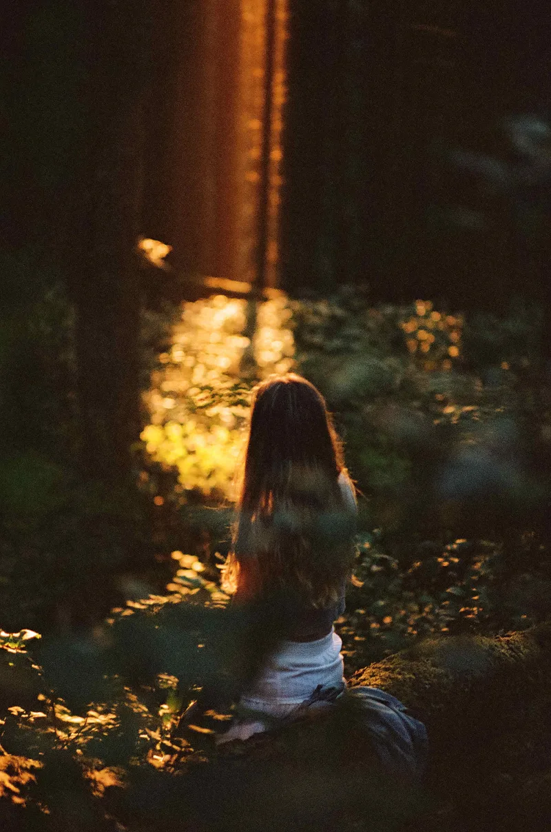 Golden Rays shot on Kodak Portra 400 with a Nikon F3 HP, developed at Pacific Photo Lab, by Noah Davis