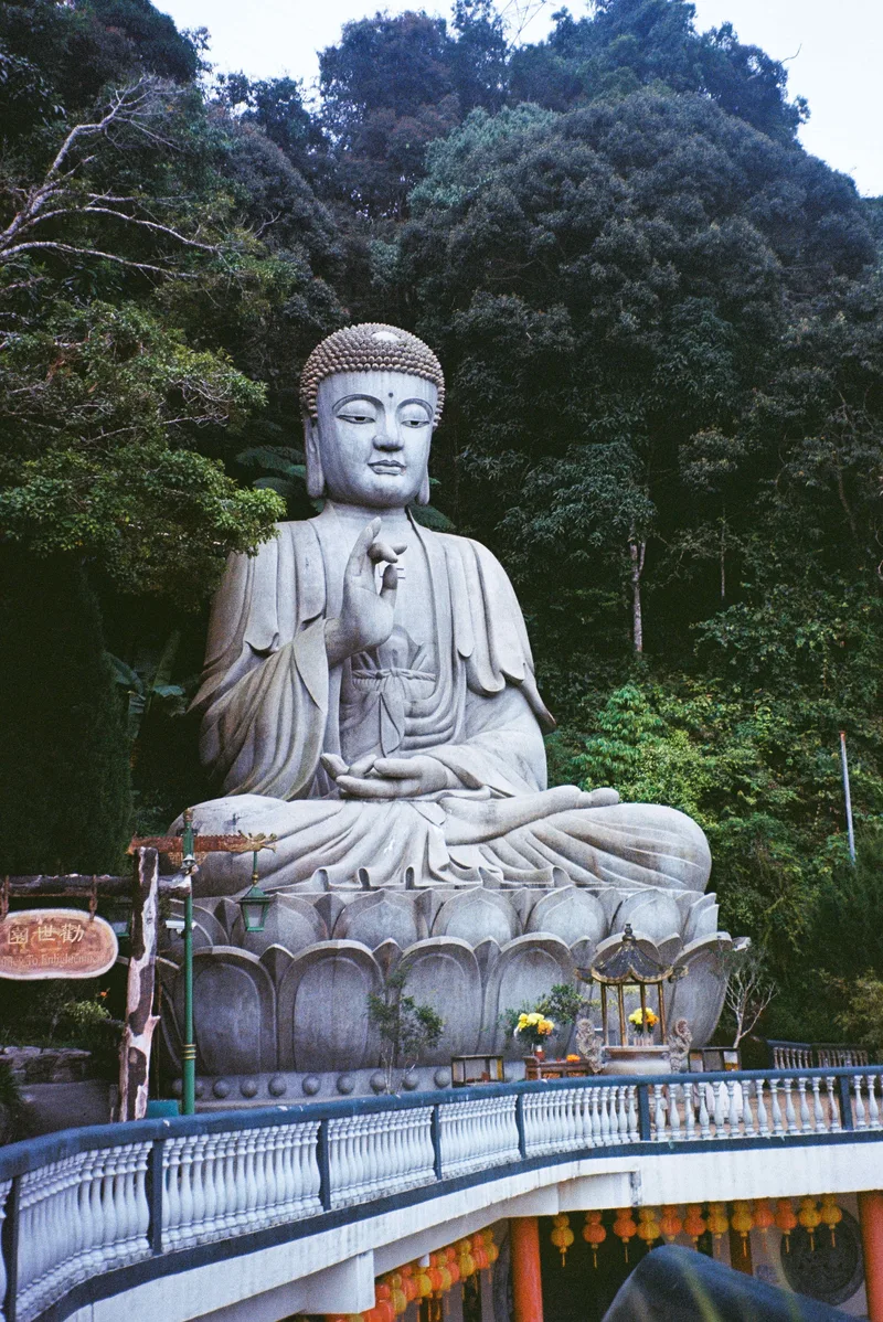 The sleepy one. shot on Kodak Ektar 100 with a Canon Prima Zoom Shot, developed at Darkroom8, by Kram