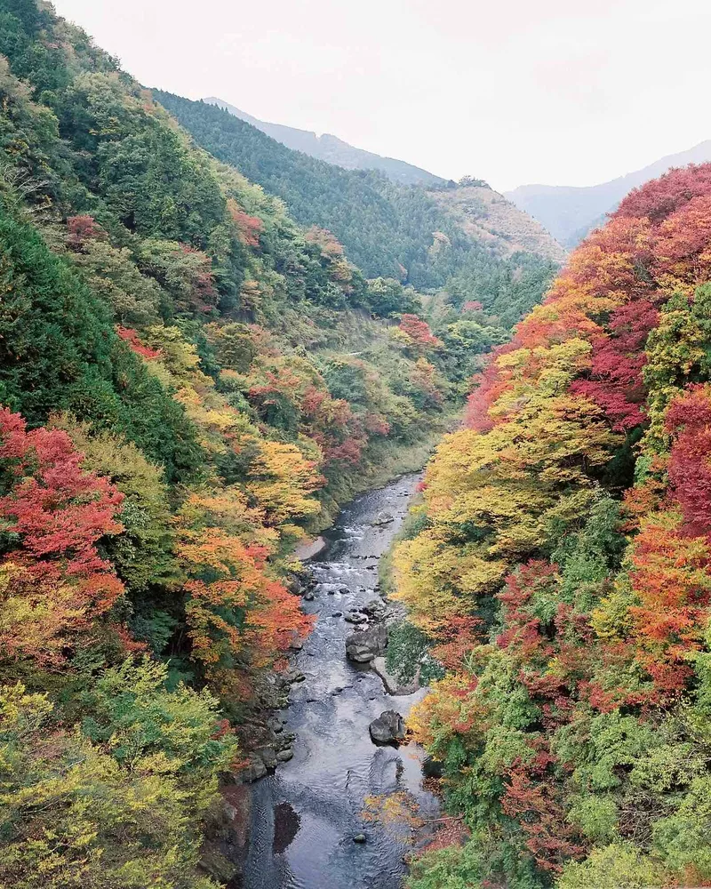Fall Valley shot on Kodak Portra 400 UC with a Mamiya 7, developed at Champ Camera, by Nicholas Smith