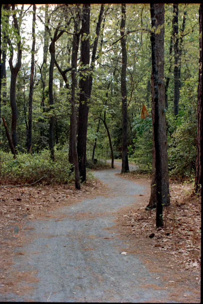 Trail shot on Kodak UltraMax 400 with a Canon A1, developed at Camera’s Etc, by Ken