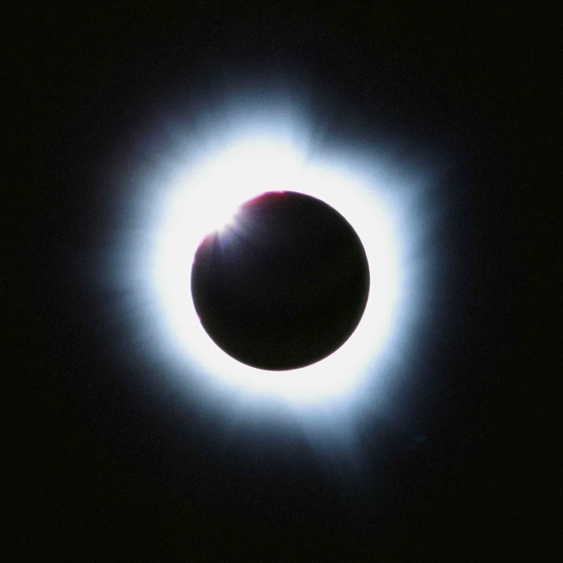 Eclipse shot on Kodak Ektachrome E100 with a Mamiya RB67 Pro S, developed at Boutique Film Lab, by Jammich