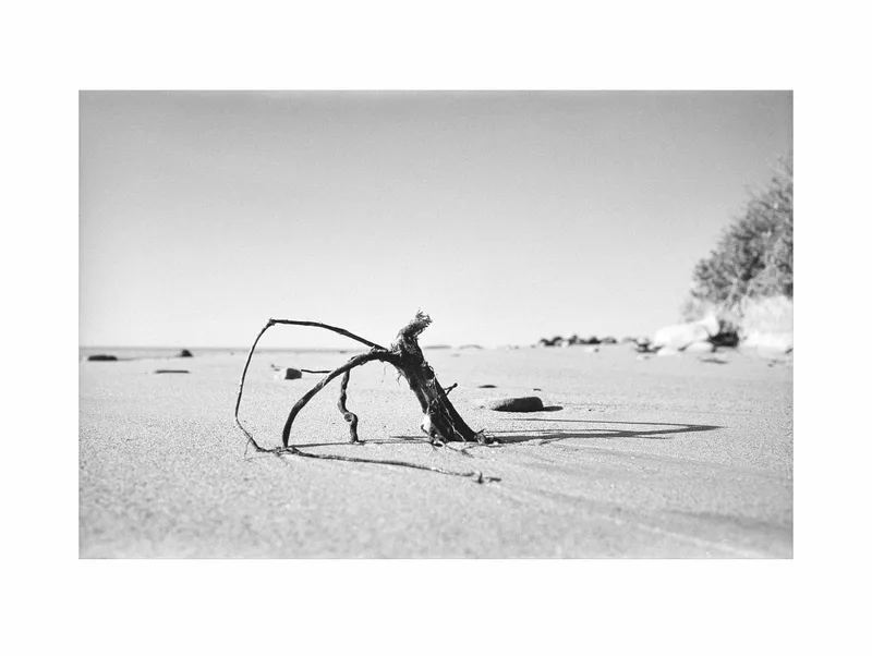 A stick. shot on Fujifilm Neopan Acros 100 II with a Leica M5, developed at Home / Self-Developed, by Evan