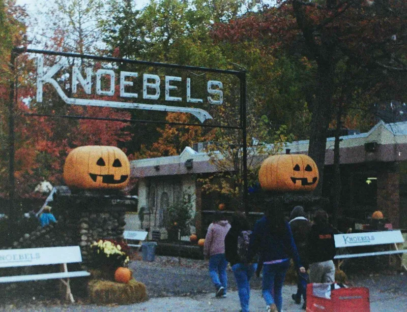 Knoebels Halloween shot on Lomography Color Tiger 110 with a Kodak Ektralite 10, developed at Process One, by FarleyEktralite10