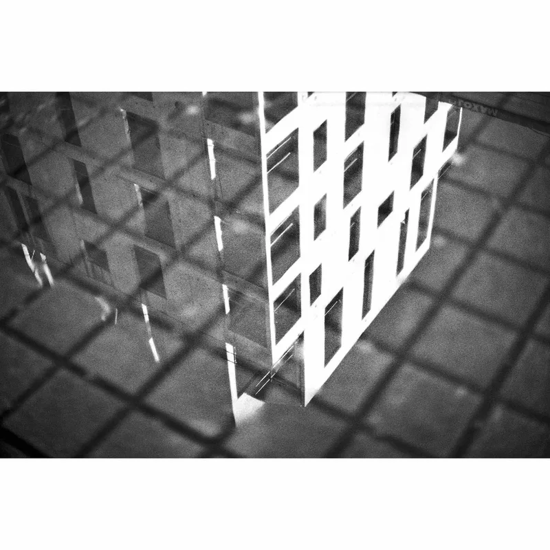 Puddle shot on Rollei Superpan 200 with a Fujica ST801, developed at Home / Self-Developed, by Astrid