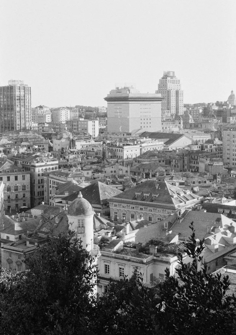 Film photo shot on Kodak Tri-X 400 with a Leica II, developed at Ghisa Film Lab, by Francesco Mocellin