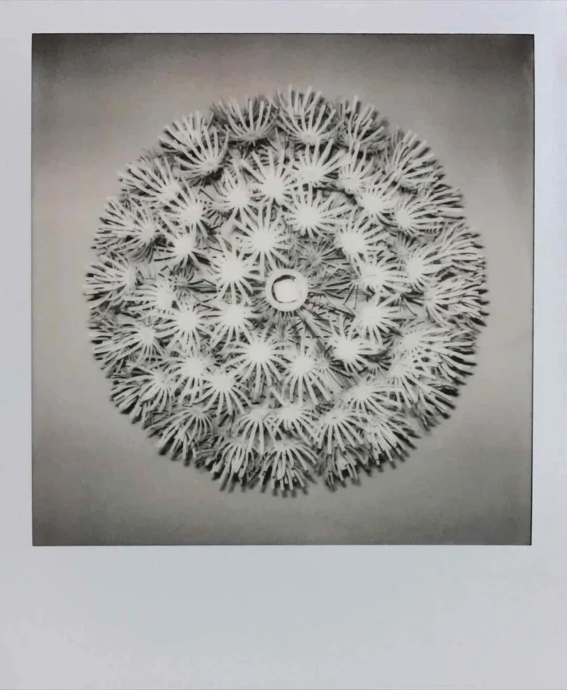 My World shot on Polaroid SX-70 with a Polaroid SX-70, by BadMonkey