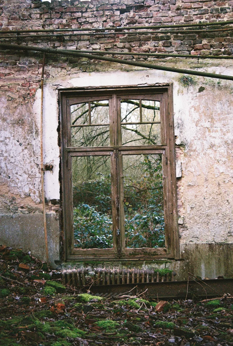 Film photo shot on Kodak UltraMax 400 with a Pentax K1000, developed at Mori Film Lab, by Aron Buffel