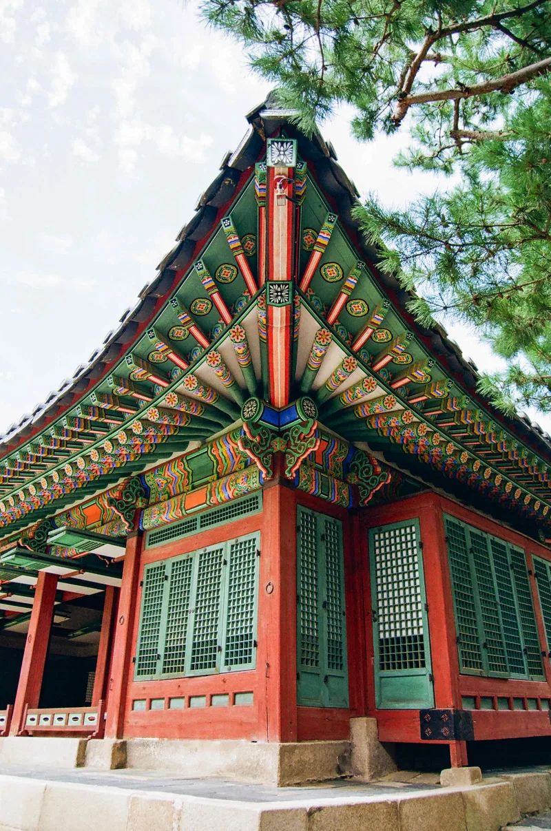 Traditional colors shot on Kodak Gold 200 with a Canon EOS 100, developed at Yeonnam film, by Bionography