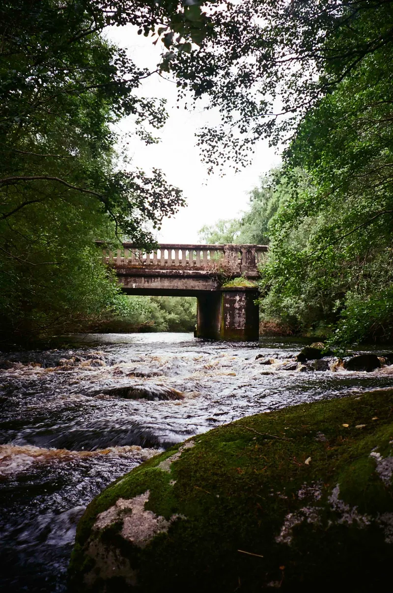 Bridge shot on Kodak Ektar 100 with a Ricoh 35 ZF, developed at PhotoVision Prints, by Tuned boy