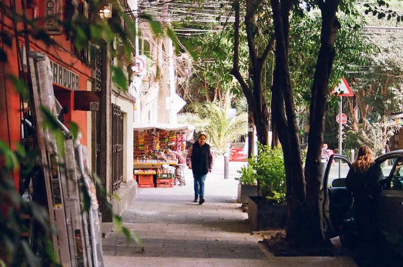Film photo shot on Kodak UltraMax 400 with a Nikon N65, by Rachel