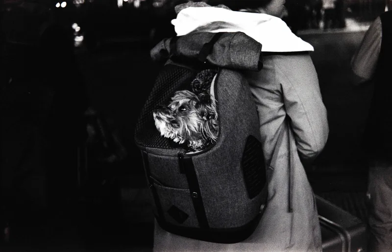 Film photo shot on Ilford Kentmere Pan 400 with a Pentax SP1000, developed at Sonderfilmlab, by Oliver